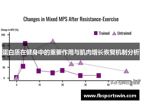 蛋白质在健身中的重要作用与肌肉增长恢复机制分析