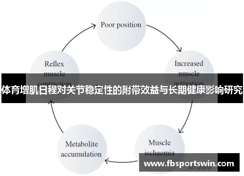 体育增肌日程对关节稳定性的附带效益与长期健康影响研究