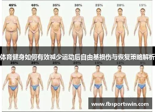 体育健身如何有效减少运动后自由基损伤与恢复策略解析